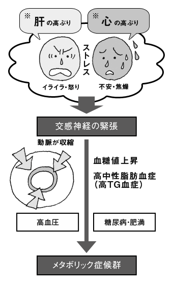 高血圧には漢方を